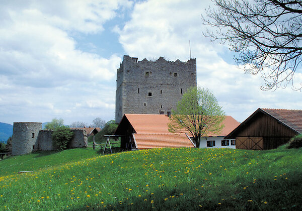 Burg Neunussberg im Bayerischen Wald